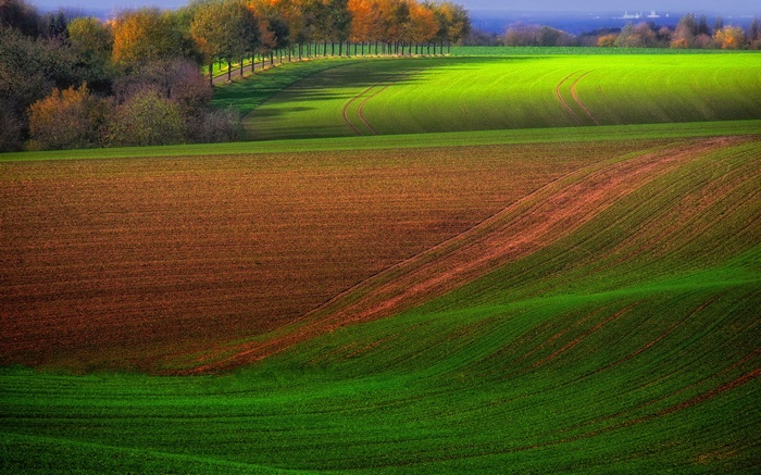 Rolling agricultural fields in autumn with trees