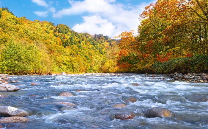 River flowing through autumn forest