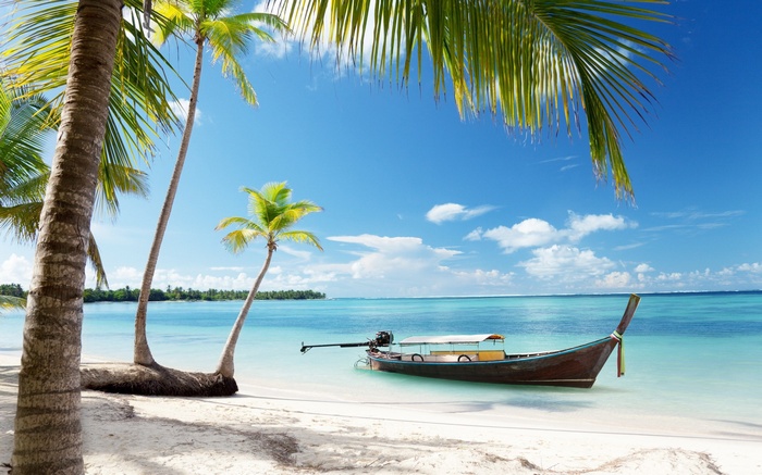 Tropical beach with palm trees and a boat