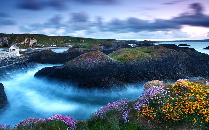 Coastal landscape with basalt columns and flowers