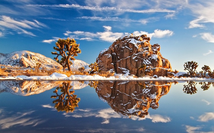 Joshua Tree National Park with snow and reflection