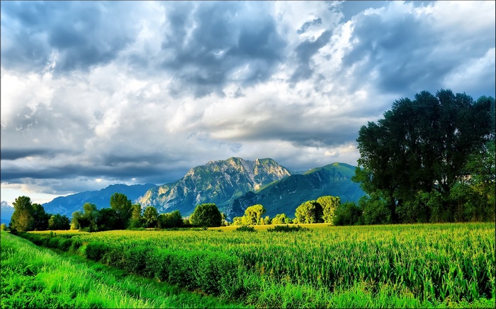 Green field and mountains under cloudy sky