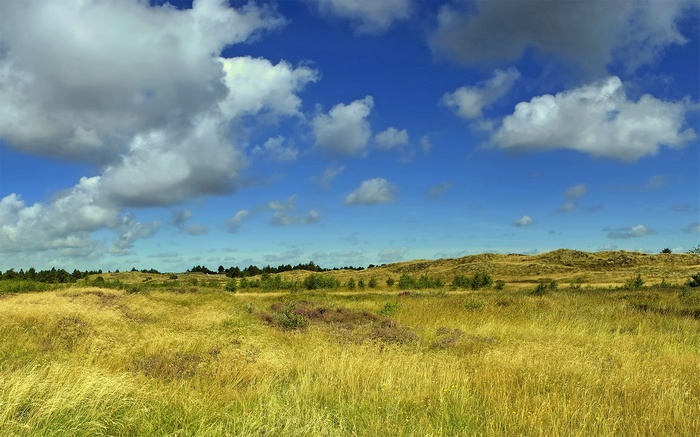 Grassy dunes under a cloudy blue sky