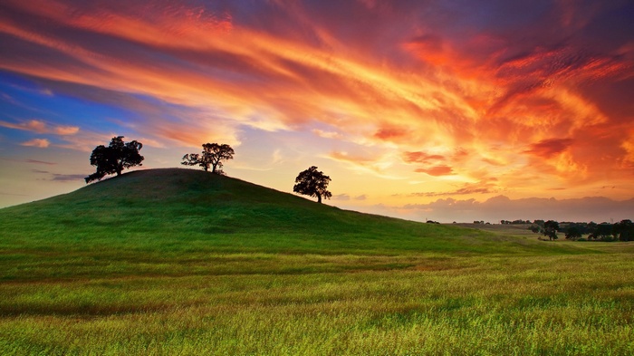 Rolling green hills with trees under a dramatic sunset sky