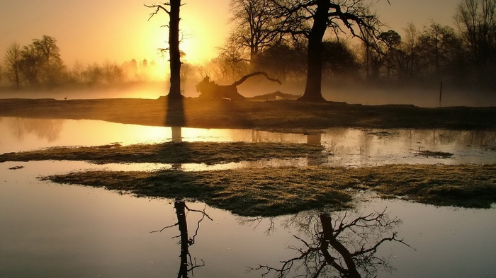 Misty sunrise over a tranquil lake with reflections