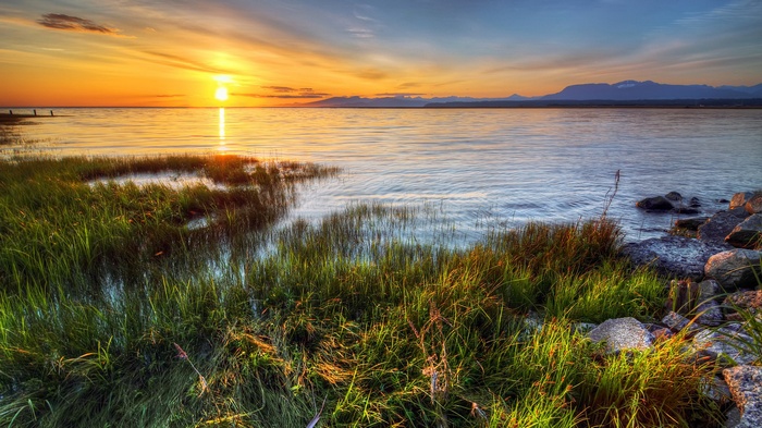 Sunset over a calm body of water with marsh grass