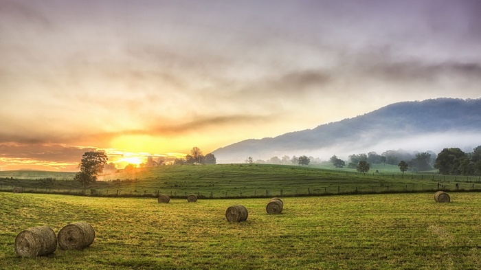 Hay bales in a misty field at sunrise
