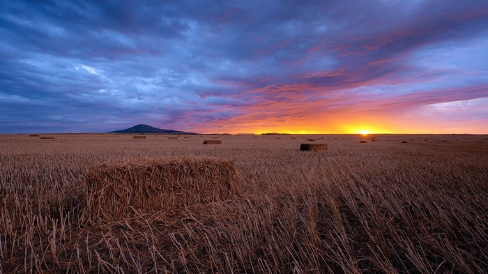 Hay bales in a field at sunset
