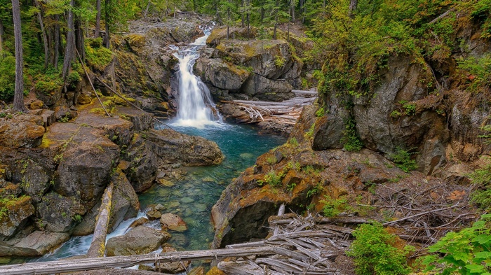 Waterfall cascading into a turquoise pool in a forest