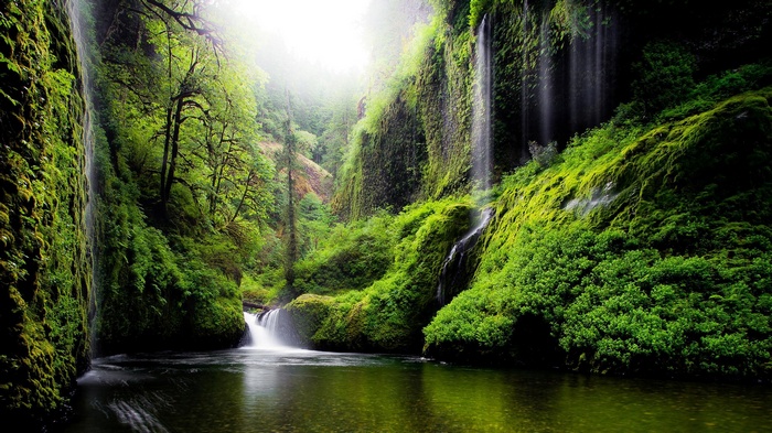 Moss-covered cliffs with waterfalls and a river