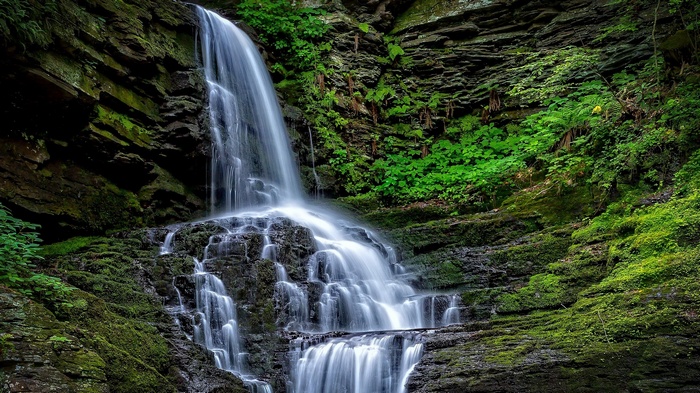 Waterfall cascading over moss-covered rocks in a forest