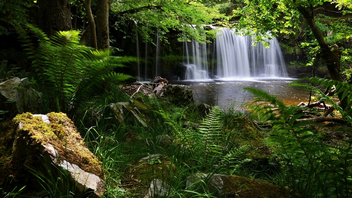 Waterfall in a lush green forest with mossy rocks