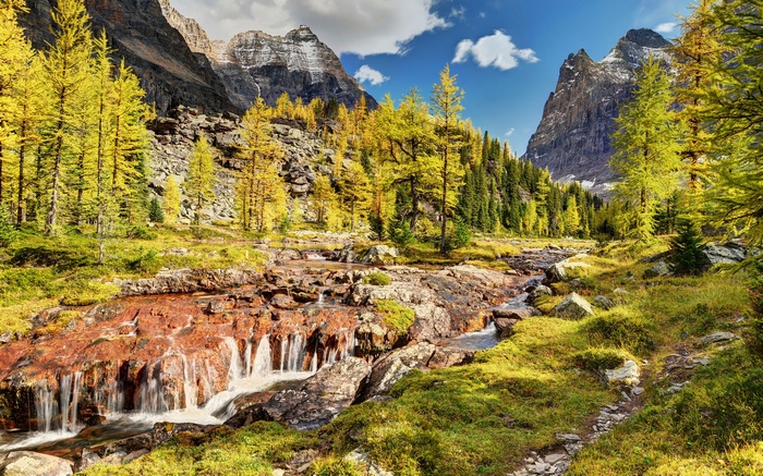 Autumn mountain valley with a stream and yellow trees
