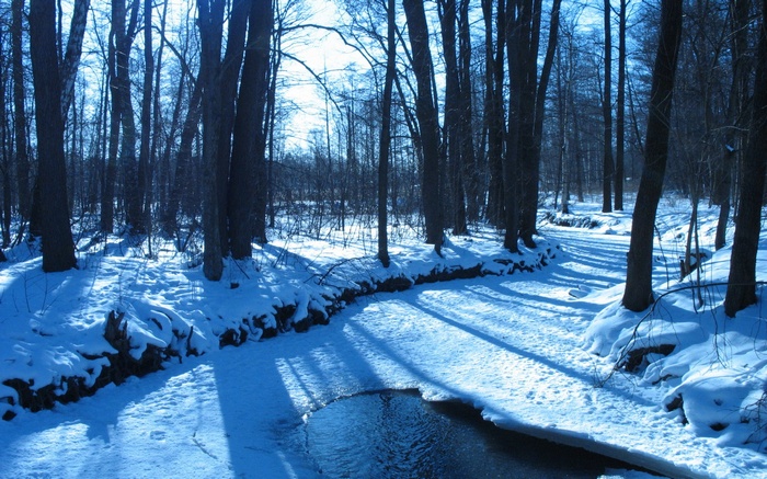 Snowy forest path with a frozen stream