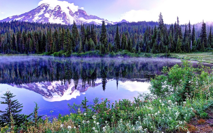 Mount Rainier reflected in a calm lake with pine forest