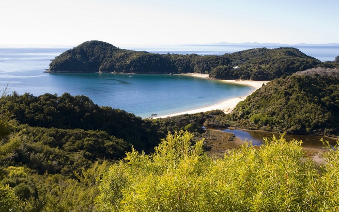 Coastal bay with forested hills and sandy beach