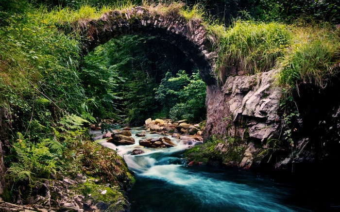 Stone bridge over a flowing river in a forest