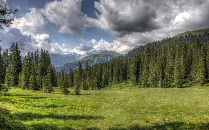Forest meadow with mountains and cloudy sky