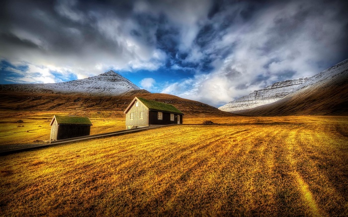 Two houses with green roofs in a golden field with mountains
