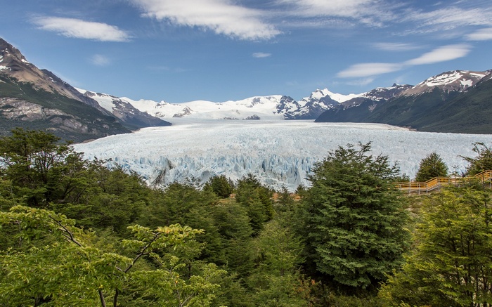 Perito Moreno Glacier with Mountains and Trees