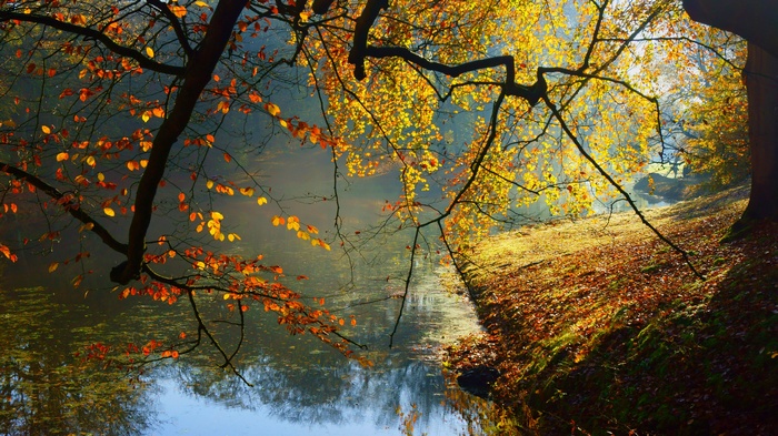 Autumn trees with colorful leaves reflected in water