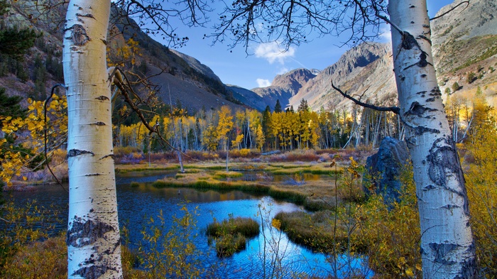 Autumn landscape with aspen trees and a mountain lake