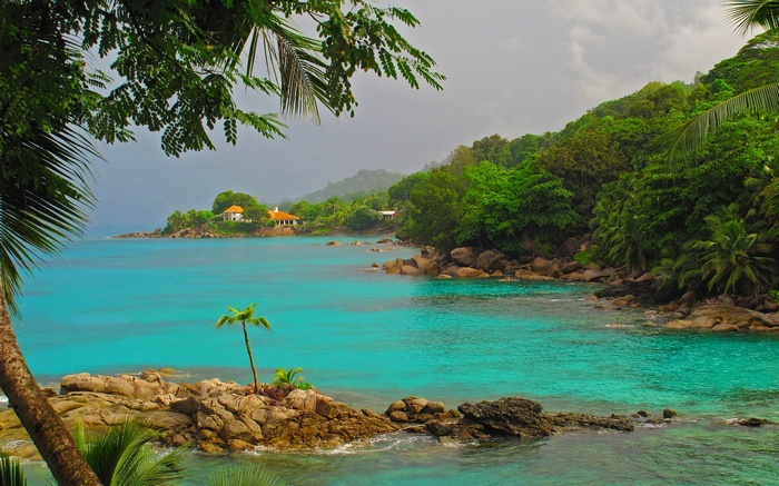 Tropical bay with houses and palm trees