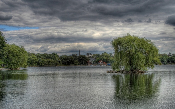 Weeping willow tree on a small island in a lake