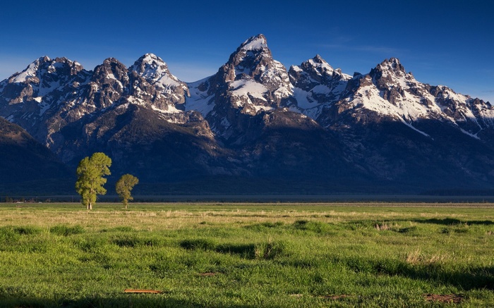 Snow-capped mountains and green field with trees