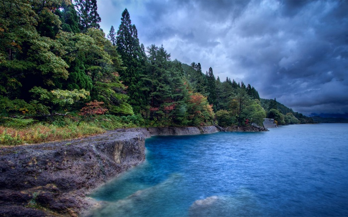 Lake surrounded by trees under a cloudy sky