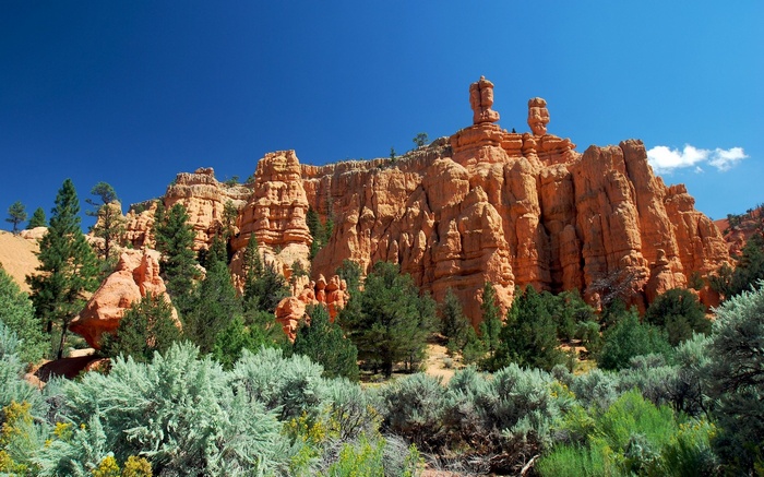 Red rock formations and green trees under a blue sky