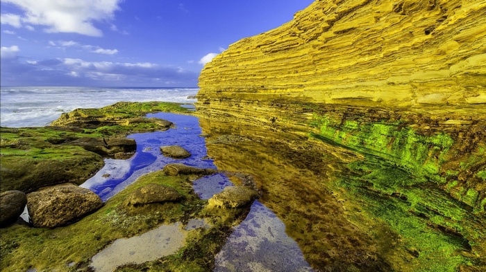 Yellow and green mossy rocks on a coastline with ocean waves
