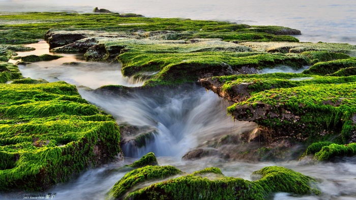 Green mossy rocks with water flowing through crevices