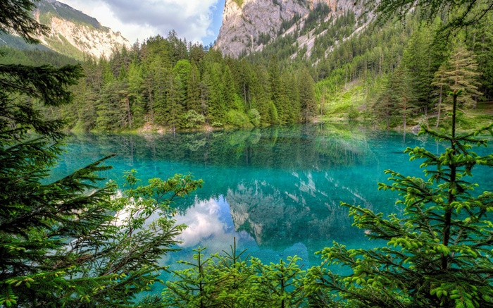 Turquoise mountain lake surrounded by pine forest