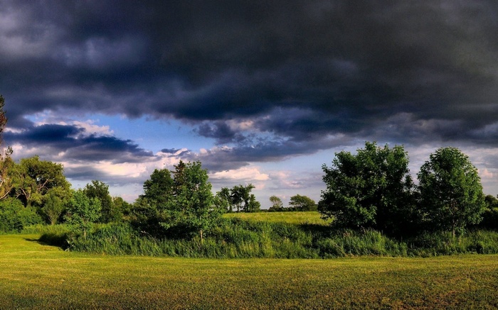 Stormy clouds over a green field and trees