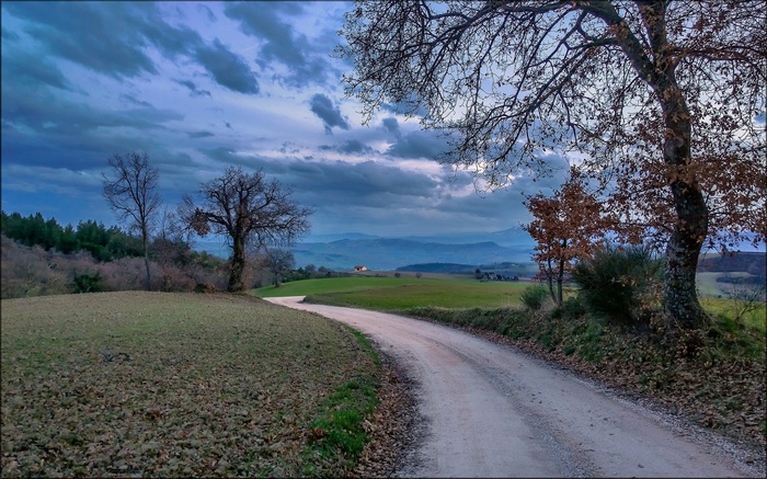 Dirt road curves through rolling hills under a cloudy sky