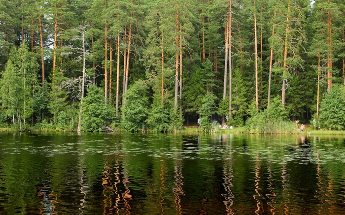 People relaxing by a forest lake