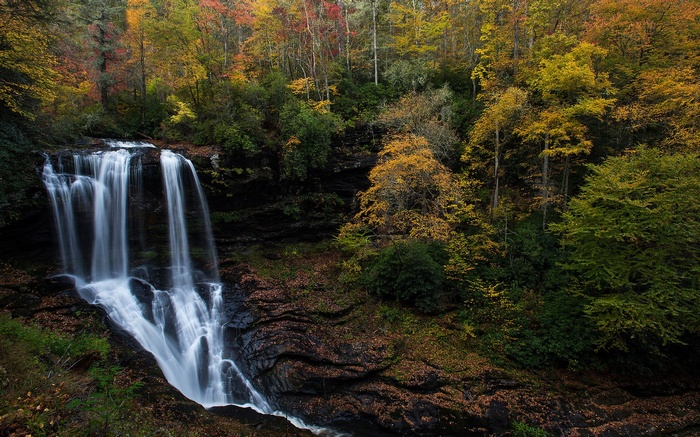 Waterfall in autumn forest