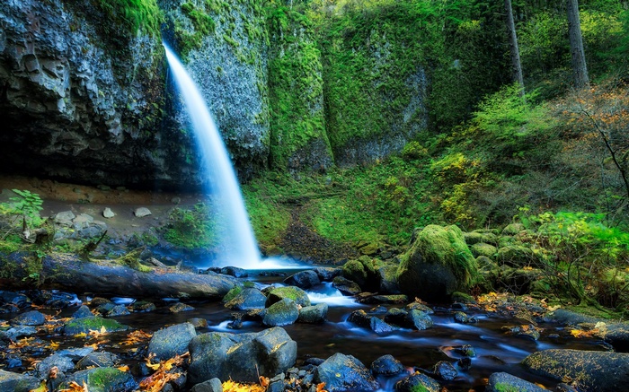 Waterfall cascading into a rocky stream in a mossy forest