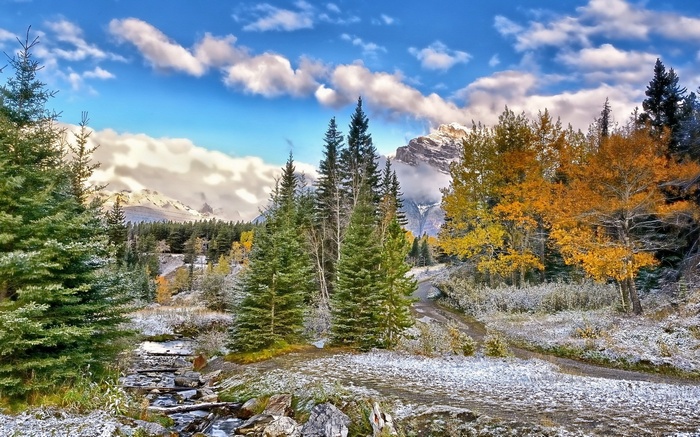 Mountain landscape with stream and autumn trees
