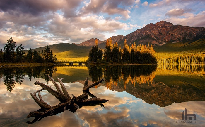 Lake reflection with mountains and driftwood