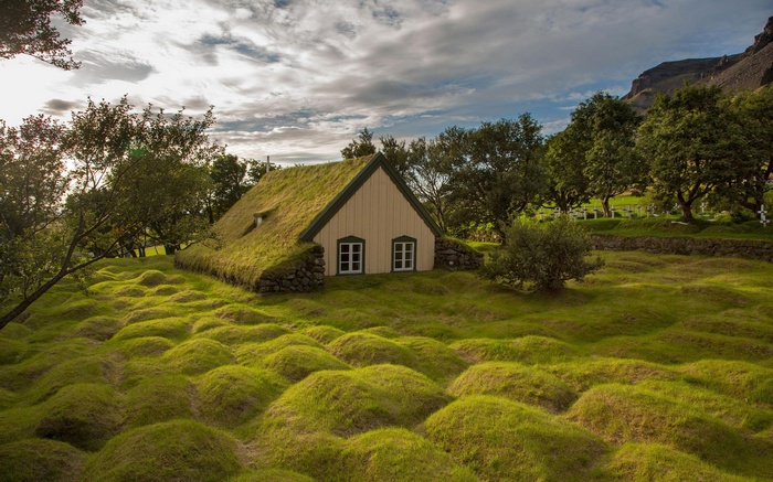 Turf-roofed church in a grassy landscape with trees