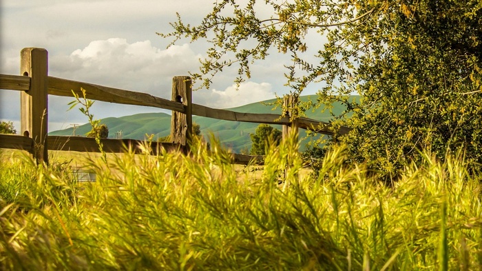 Wooden fence in a field with rolling hills