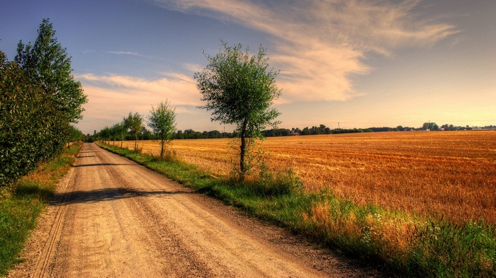 Dirt road through a harvested wheat field at sunset