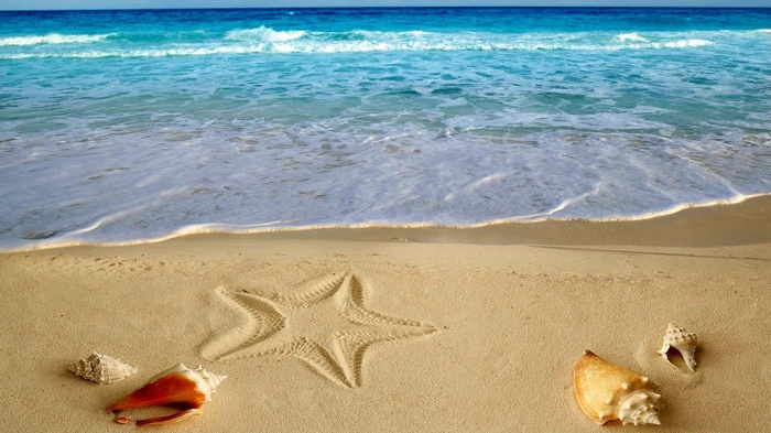Starfish drawing and seashells on a sandy beach with ocean waves