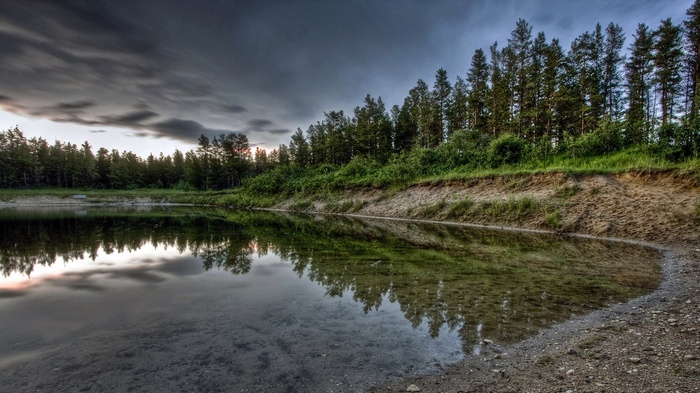 Forest reflecting in a calm lake under a cloudy sky