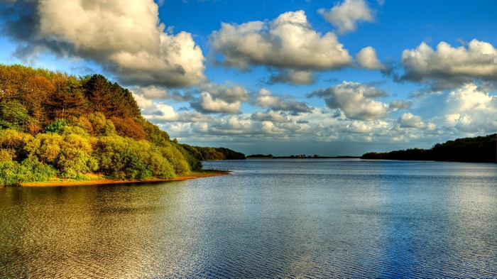 Lake surrounded by trees under a cloudy sky