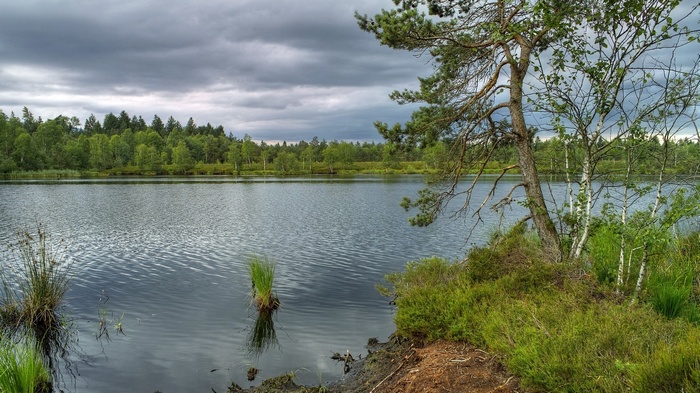 Lake and forest under a cloudy sky
