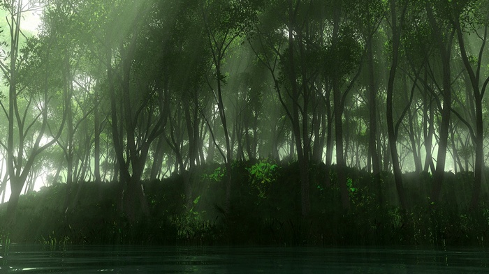 Misty forest with trees and water
