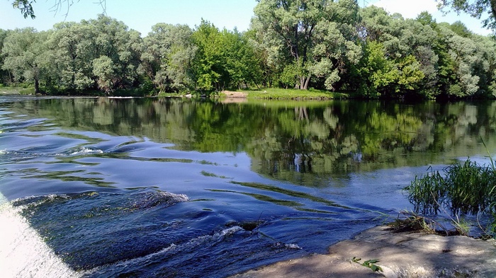 River with trees and reflections